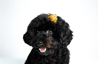 《马力欧＆路易吉RPG 兄弟齐航！》11月7日登录Switch 系列首次全3D化